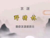 京剧《野猪林》全剧