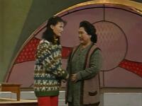 南方新女婿下载