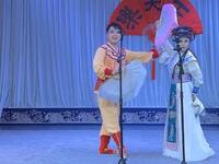 李翠莲盘道下载