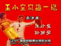 王小宝风趣一绝下载