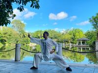 陳氏太極拳老架一路下载