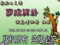 罗成算卦下载