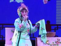 秦腔李淑芳个人演唱专辑下载