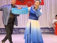 送情郎  刘翠萍哭井下载