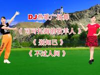 DJ广场舞《可可托海的牧羊人》《别知己》《