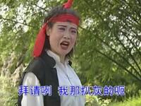 湖南大型实景花鼓戏《打渔杀家》全集下载
