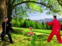 传承千年养生功法《易筋经》正背面练习版 