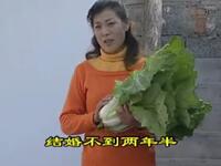沂蒙小调《相亲记》