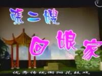 湖南衡阳花鼓戏《张二嫂回娘家》全剧下载