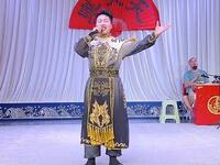 清水河 佘太君辞朝下载