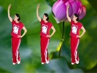 DJ版广场舞《醉美西藏》歌优舞美 好看好学