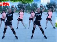 金凤凰广场舞《壮志在我胸》