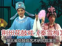 荆州花鼓戏《秦雪梅》全剧高清版下载