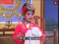 湖南衡阳花鼓戏《父子图》又名《月姑记》全剧下载