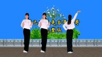 广场舞《哥已不再是当年的哥》正背面完整版