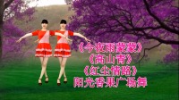 广场舞《今夜雨蒙蒙》《高山青》《红尘情路