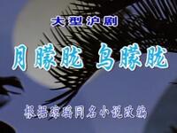 沪剧《月朦胧 鸟朦胧》全集