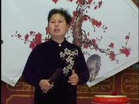 河南坠子《一百零八侠》下载