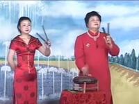 河南坠子《段宝卿投亲》下载