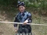 庐剧《朱洪武放牛》全剧