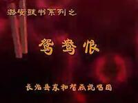 上党鼓书《鸳鸯恨》全集下载