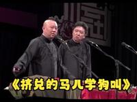 挤兑的马儿学狗叫