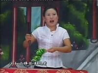 河南坠子《五娥征西》第二部下载