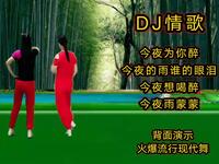 DJ广场舞《今夜为你醉》《今夜的雨谁的泪》