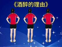 DJ版广场舞《酒醉的理由》背面演示更好学