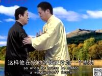 陈正雷陈氏太极推手 陈氏太极拳下载