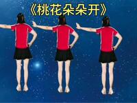 广场舞《桃花朵朵开》背面演示更好学