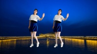 DJ版广场舞《除了在梦里再没有见过你》舞步