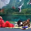 奸妇害子下载