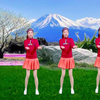 车载DJ广场舞串烧《冬天里的一把火》《伤不