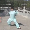 李晖42式太极剑教学下载
