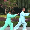 太极伉俪—杨式八十五式太极拳（惠合同版）下载