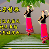 藏族特色广场舞《高原情歌》完整版
