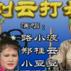 刘云打母下载