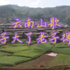 云南山歌《儿子大了老子得力》全集