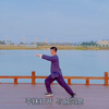 正宗太极二十四式免费教学下载