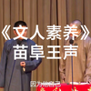 文人素养