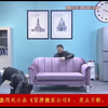 冒牌搬家公司下载