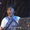 淮剧《祥林嫂》全剧