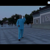 杨式太极拳秘传功夫架下载