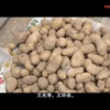 莲花落《新花子要饭》