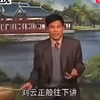 河南大鼓书《刘云打母》