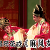 南昌采茶戏《麻风女》完整版下载