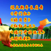 广场舞串烧《开门红》《好日子》《红红火火