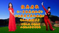 64步小慧广场舞《八月桂花遍地开》《山丹丹