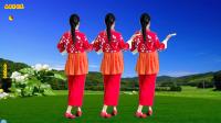小慧广场舞《亲亲茉莉花》背面演示 简单欢